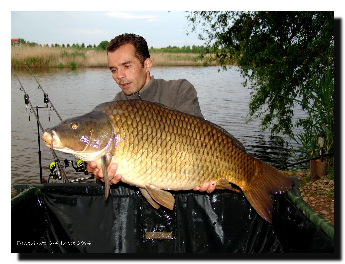 1-4 iunie tancabesti - dsc00252.jpg